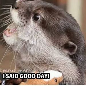 Meet your Posher, Jd